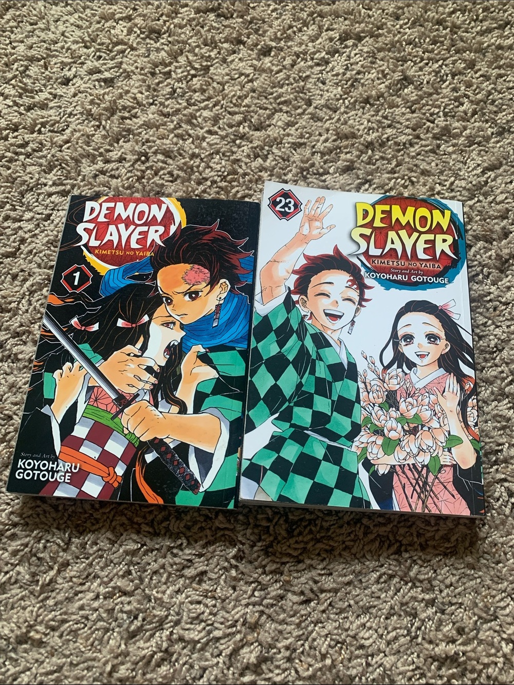 Demon Slayer Vol. 1 & Vol. 23 Manga Set - Green/Black Covers